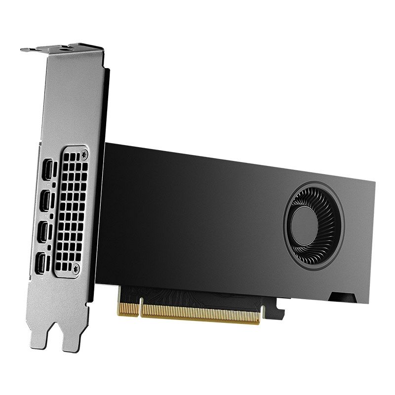 PNY RTX 2000 Ada Generation 16GB DDR6 ECC (VCNRTX2000ADA-SB) low profile profesionalna grafična kartica