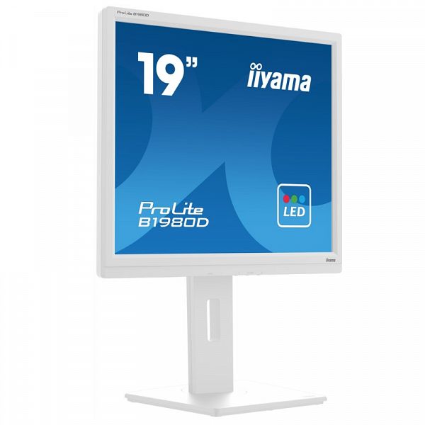 IIYAMA PROLITE B1980D-B5 48cm (19