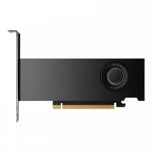 PNY RTX 2000 Ada Generation 16GB DDR6 ECC (VCNRTX2000ADA-SB) low profile profesionalna grafična kartica