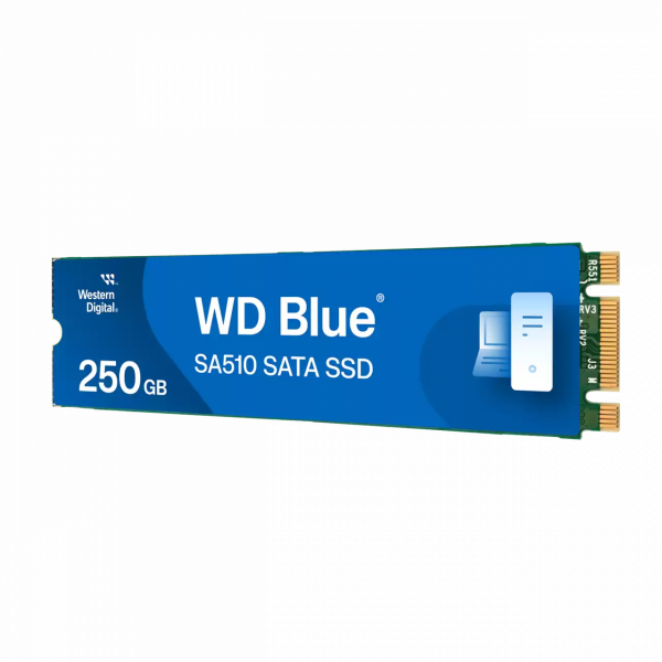 WD SSD 250GB Blue SA510 M.2 SATA 2280